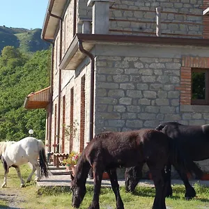 Agriturismo Il Capitano Floresta